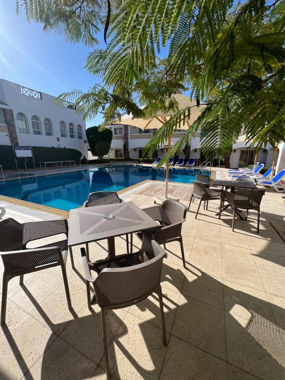 Camel Dive Club & Hotel - Boutique Hotel Sharm-el-Sheikh Buitenkant foto