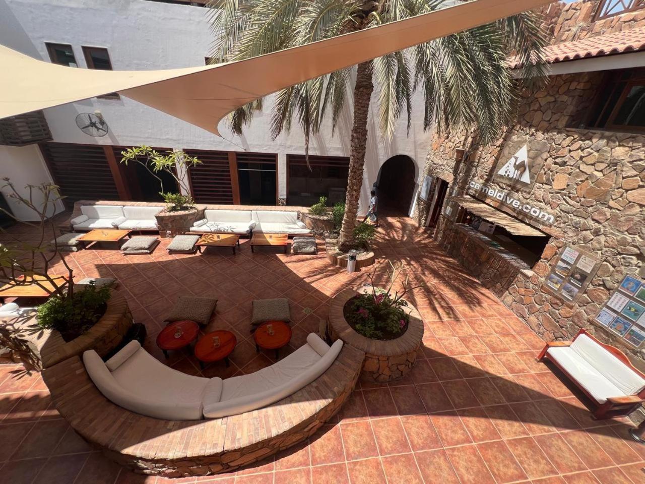Camel Dive Club & Hotel - Boutique Hotel Sharm-el-Sheikh Buitenkant foto