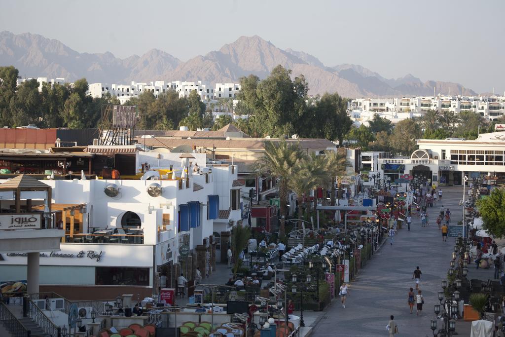 Camel Dive Club & Hotel - Boutique Hotel Sharm-el-Sheikh Buitenkant foto